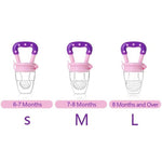 Baby Fresh Fruit Pacifier